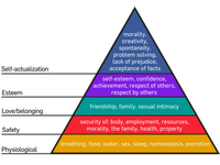 From the Inside Out, Redesigning Government