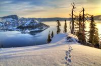 Logging in the Crater Lake Wilderness? No thanks