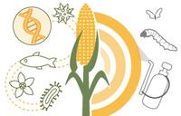 The Fate of I-522, Washington State's GM Food Labeling Law